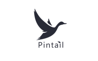PINTAIL LTD